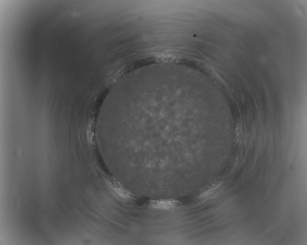 X0000073980671200609051912