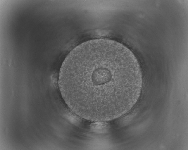 X0000073980672200609051912