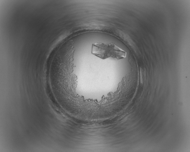 X0000073980675200609051912