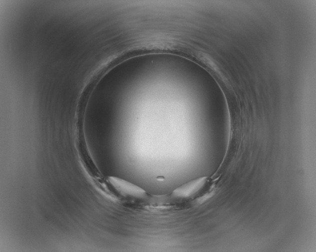 X0000073980677200609051912