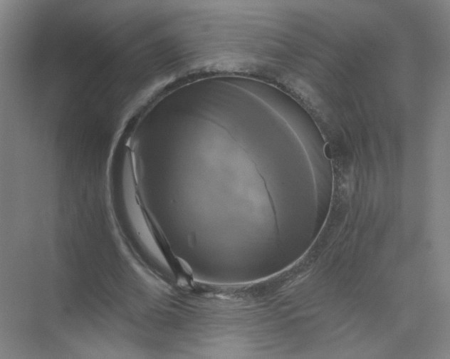 X0000073980678200609051912