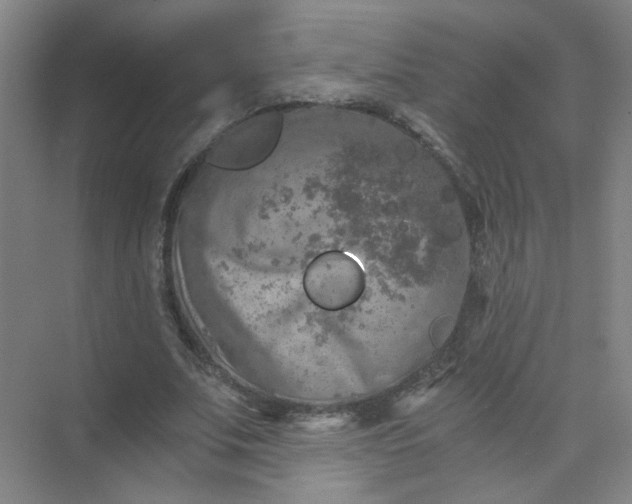 X0000073980679200609051912