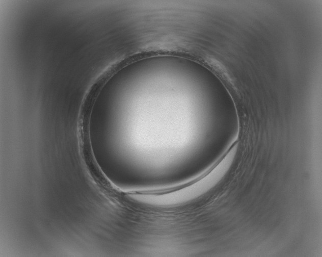 X0000073980680200609051912