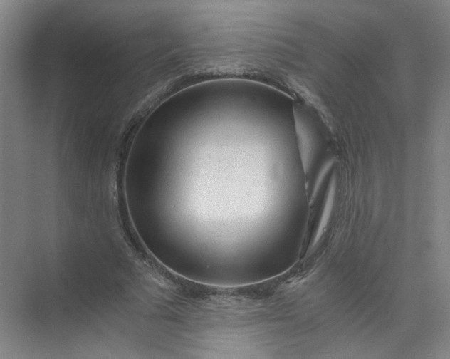 X0000073980681200609051912