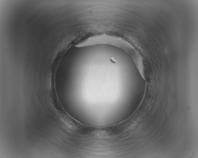 X0000073980685200609051911