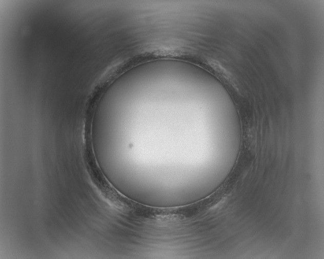 X0000073980686200609051911