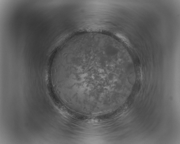 X0000073980687200609051911