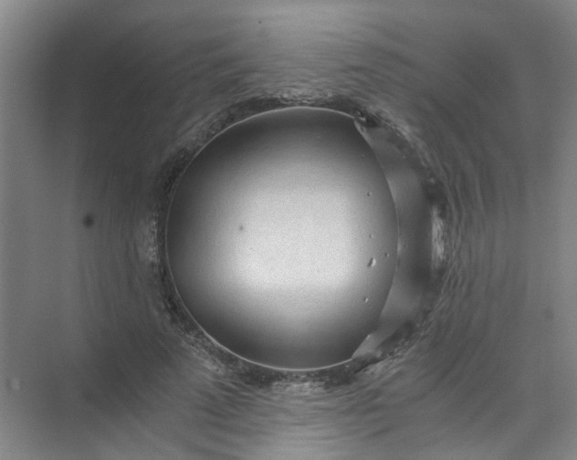 X0000073980689200609051911