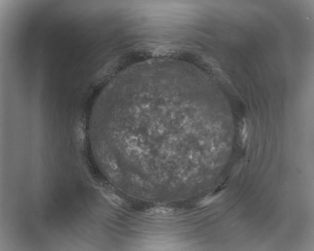 X0000073980691200609051911