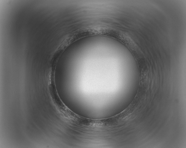 X0000073980694200609051911