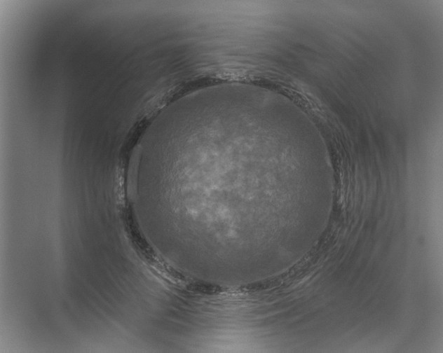 X0000073980696200609051911