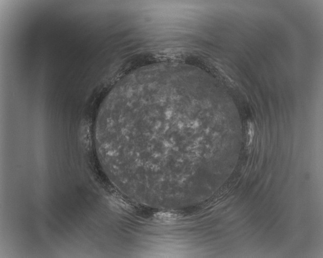 X0000073980699200609051911