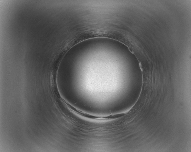 X0000073980700200609051911