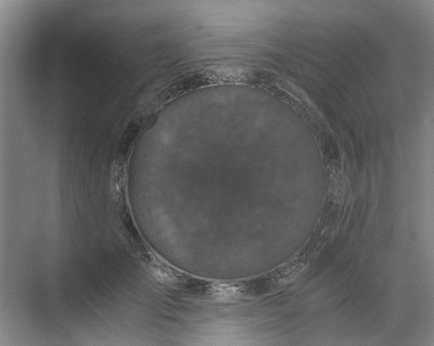 X0000073980701200609051911