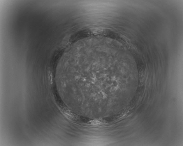 X0000073980703200609051911