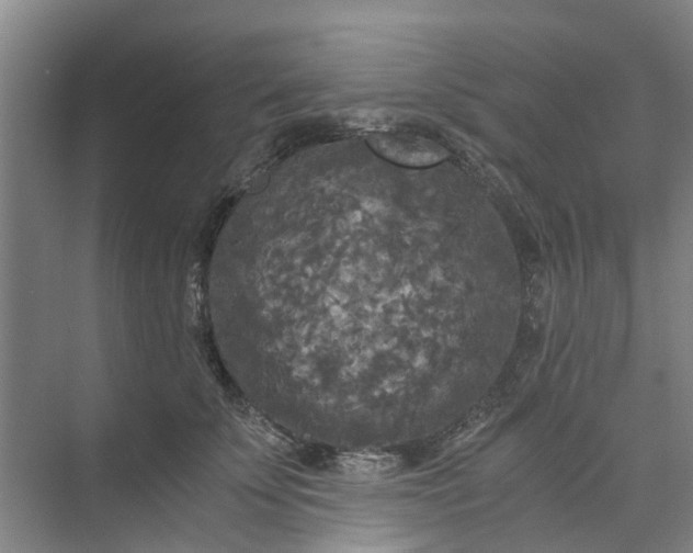 X0000073980707200609051911