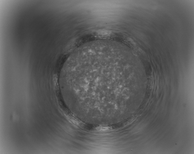 X0000073980711200609051911