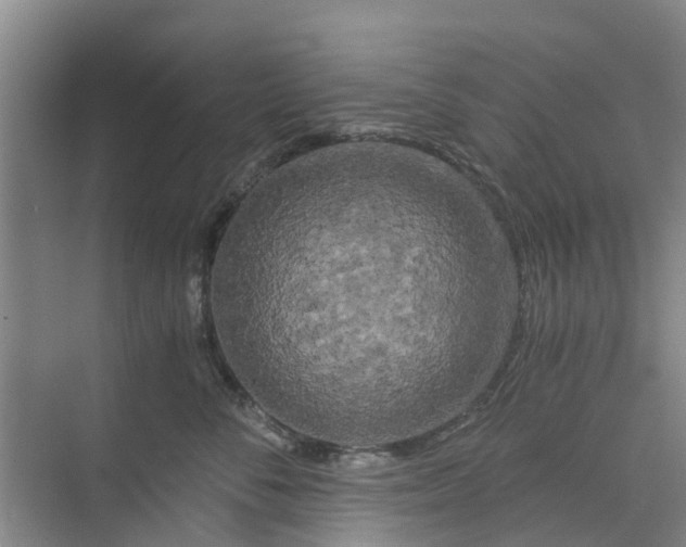 X0000073980716200609051911