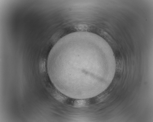 X0000073980717200609051911