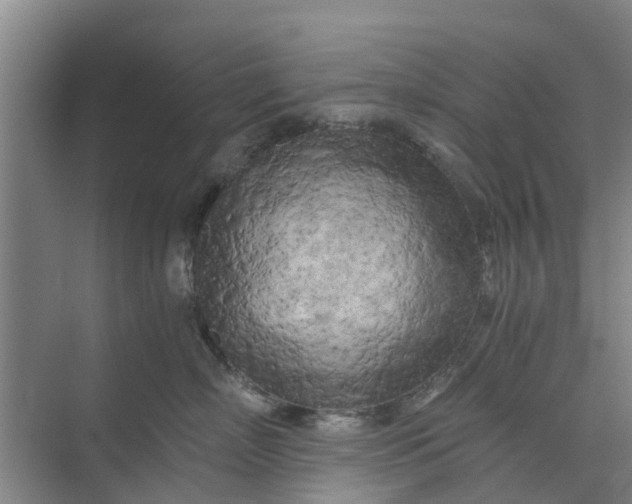 X0000073980718200609051911