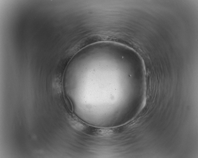 X0000073980719200609051911