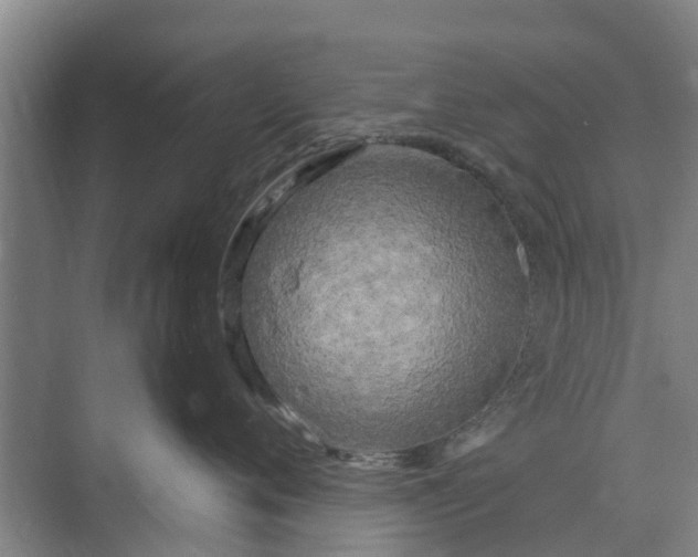 X0000073980720200609051911