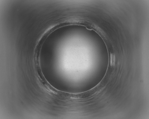 X0000073980723200609051910