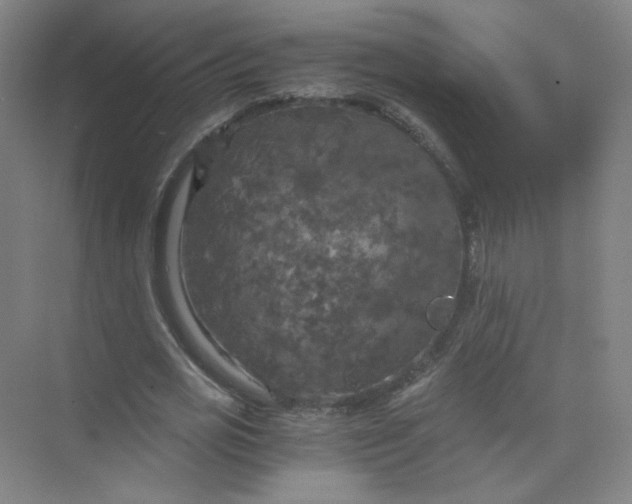 X0000073980725200609051910