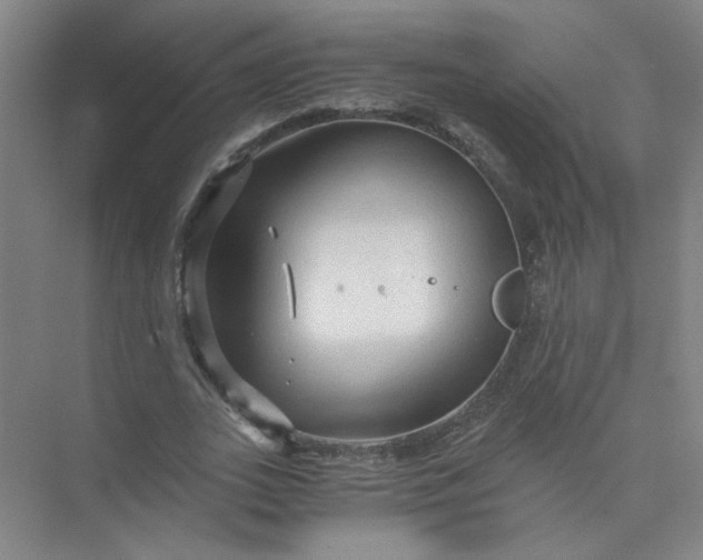 X0000073980727200609051910