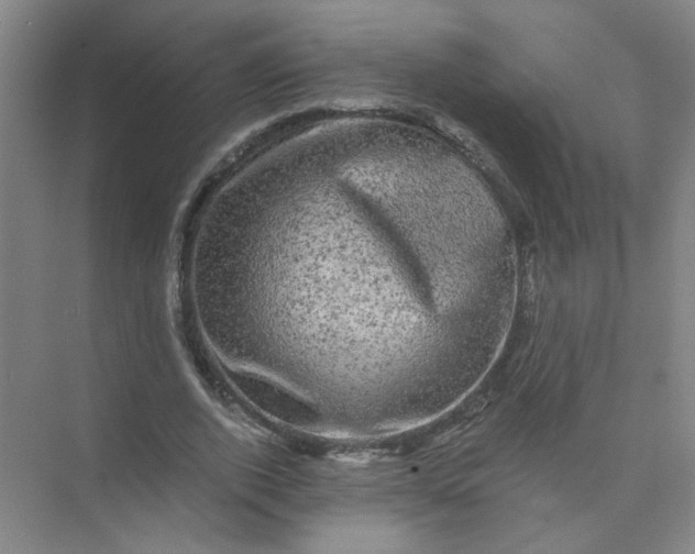 X0000073980728200609051910