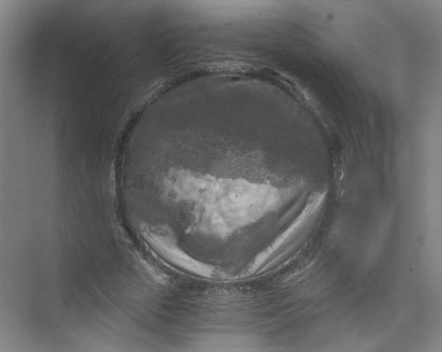 X0000073980729200609051910