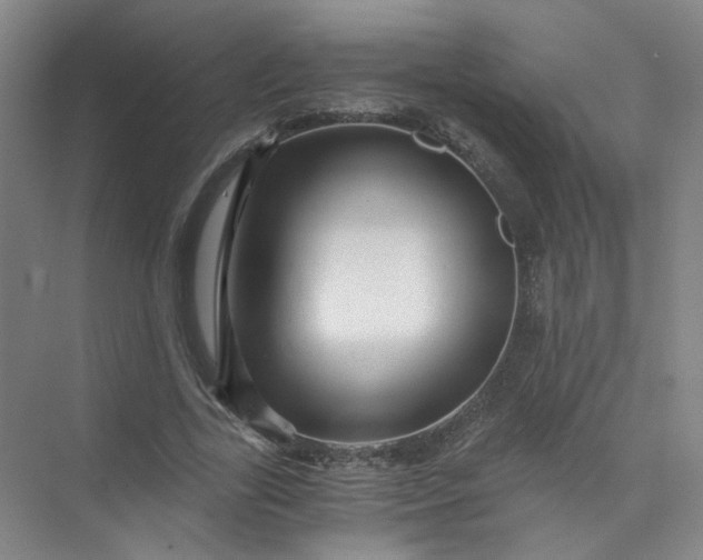 X0000073980731200609051910