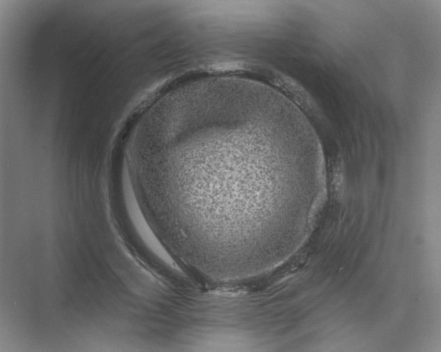 X0000073980732200609051910