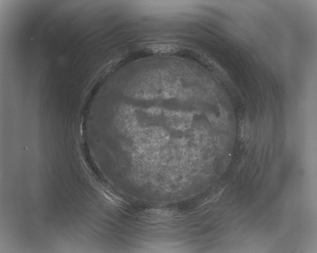 X0000073980733200609051910