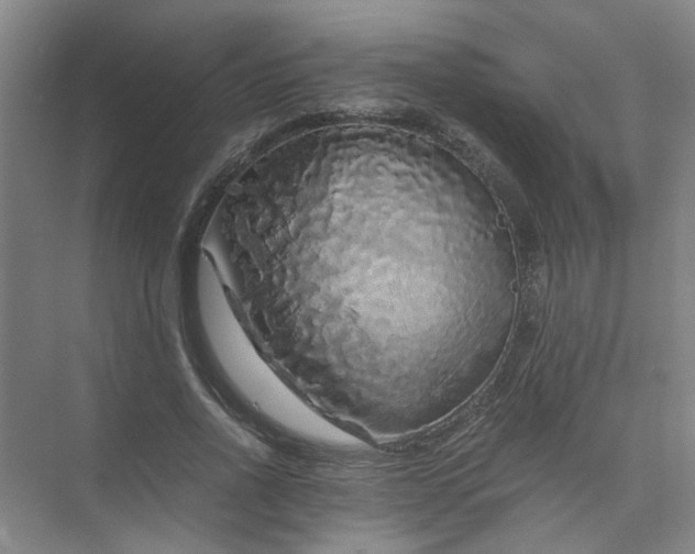 X0000073980734200609051910