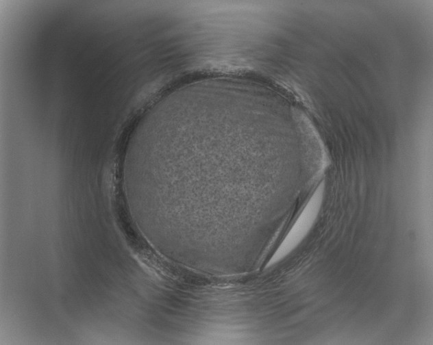 X0000073980736200609051910