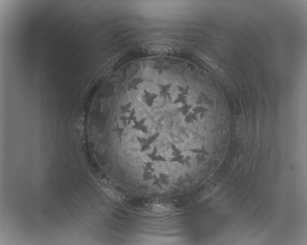 X0000073980737200609051910