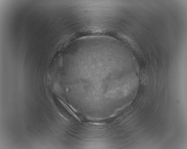 X0000073980740200609051910