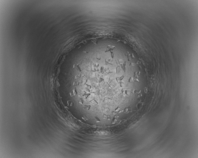 X0000073980741200609051910