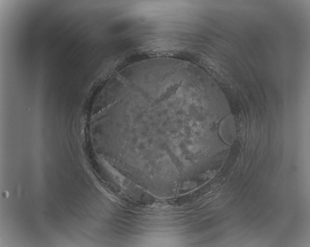 X0000073980742200609051910