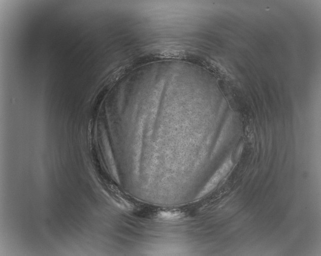 X0000073980744200609051910