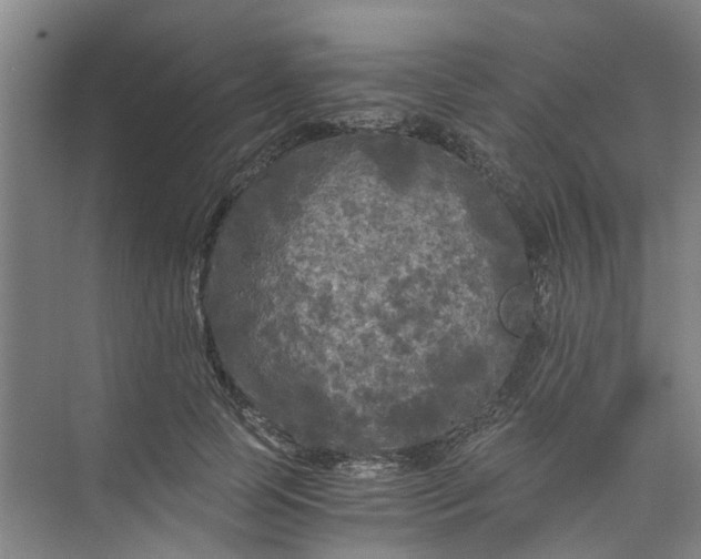 X0000073980745200609051910