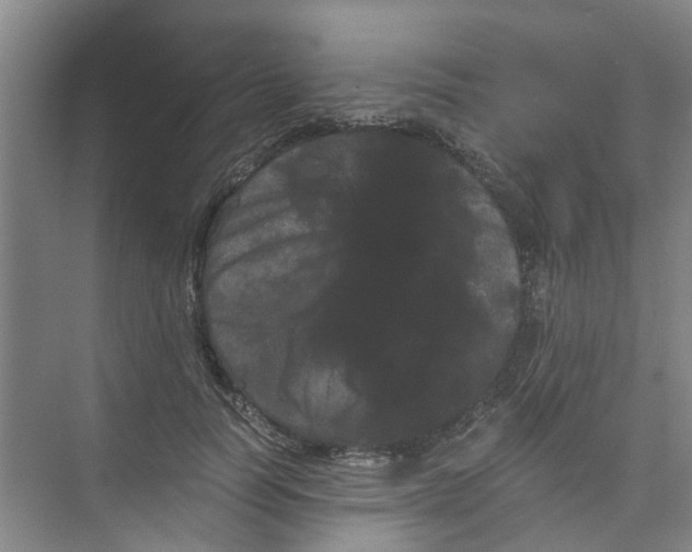 X0000073980746200609051910