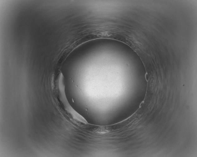 X0000073980747200609051910