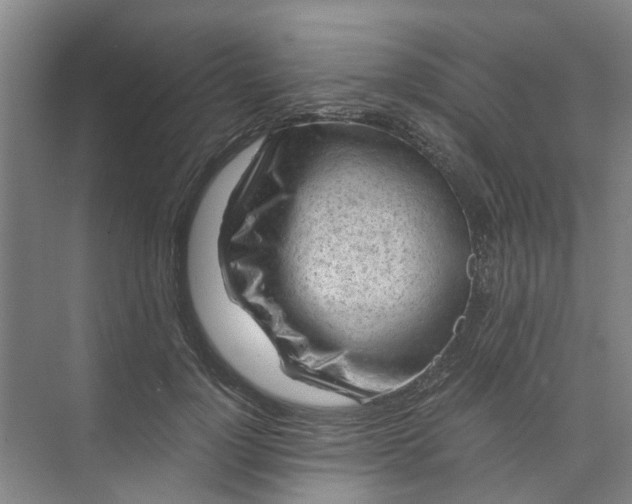 X0000073980748200609051911