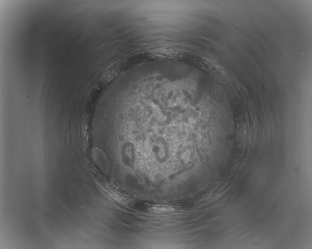 X0000073980749200609051911