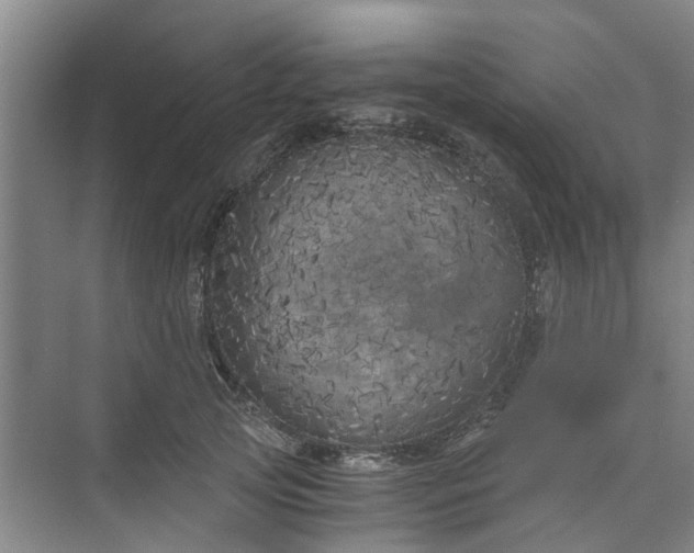 X0000073980753200609051911