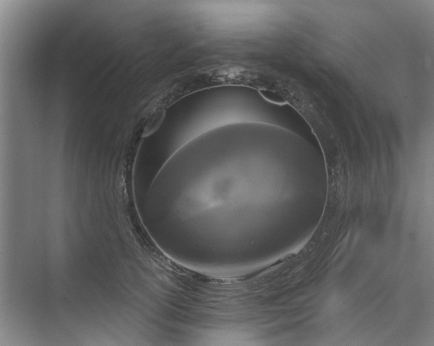 X0000073980754200609051911