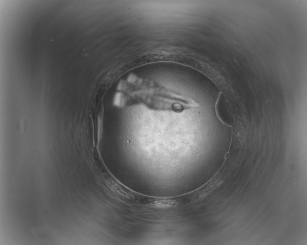 X0000073980758200609051911