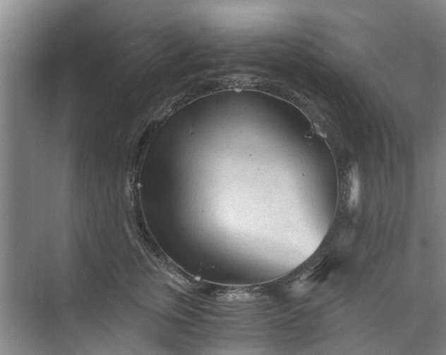 X0000073980759200609051911